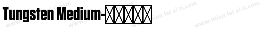 Tungsten Medium字体转换